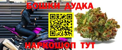 прущие грибы Обь