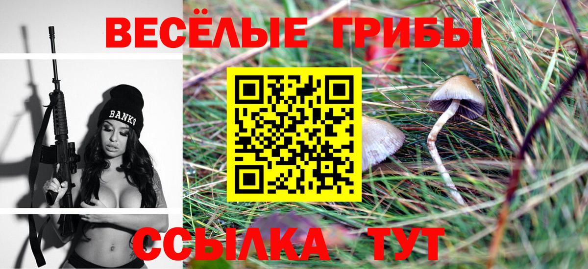 Сибай  Псилоцибиновые грибы Magic Shrooms  Вход с VPN 